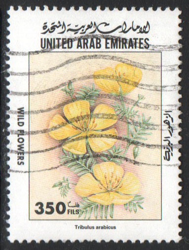 United Arab Emirates Scott 631 Used